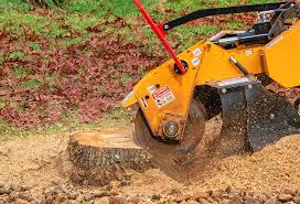 Best Emergency Tree Removal  in Colusa, CA